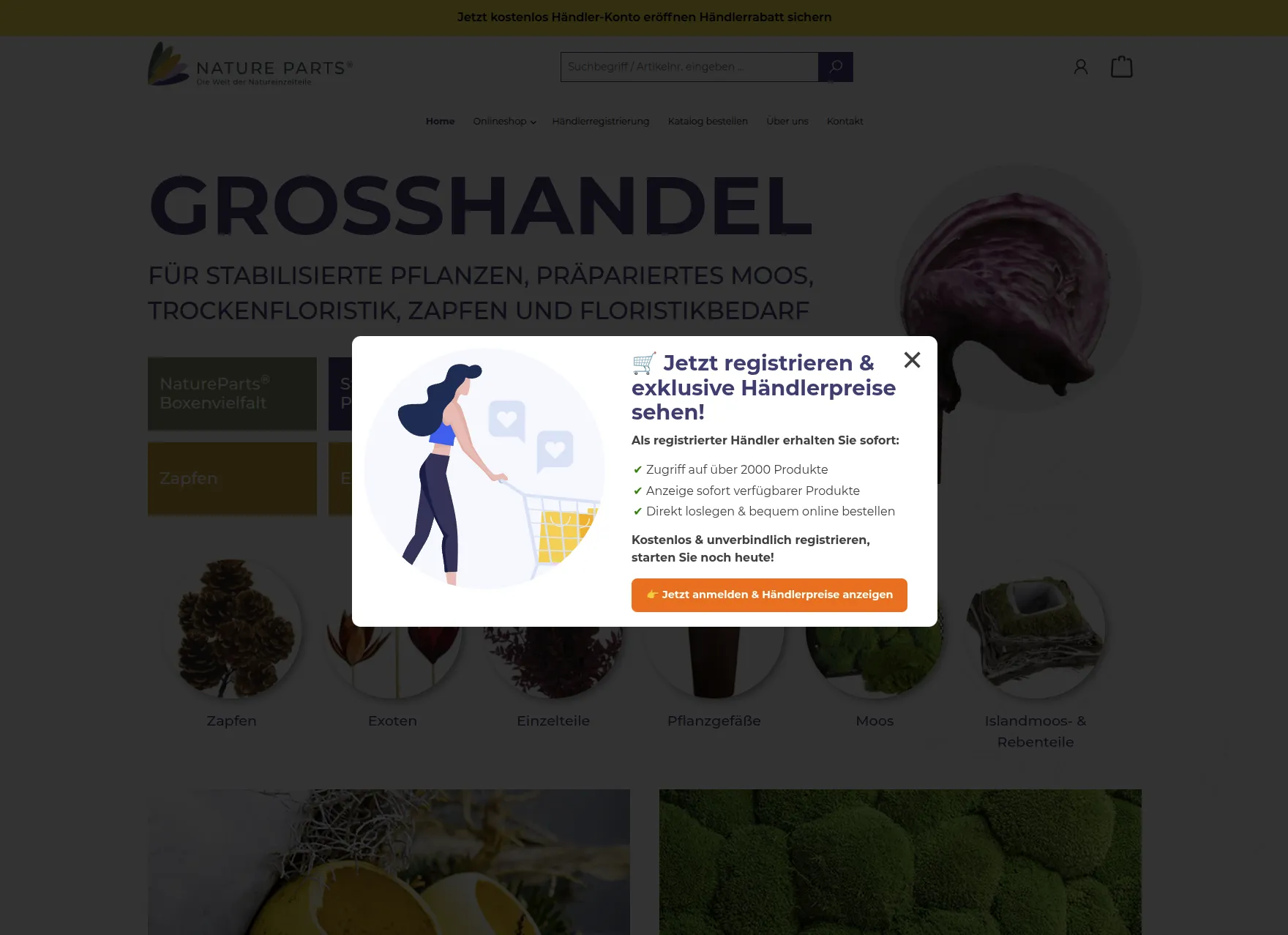 B2B-Registrierung mit Plausibilitätsprüfung